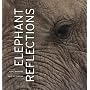 Elephant Reflections