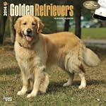 Golden Retrievers 2014 Square 12x12