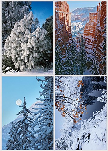 Winter Landscapes Holiday Card Assortment
