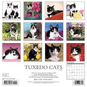 Just Tuxedo Cats 2017 Wall Calendar