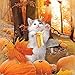 Fall Kitty Orange T-Shirt - Festive Halloween Pumpkin Patch