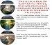 Book The Guru's How To Earn Extra Money, Success Principles and Sales Models for E-bay Tips Web Biz 3 CD Course