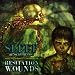 Hesitation Wounds