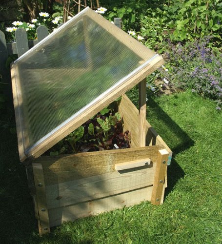 Hawthorns Classic Coldframe