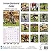 German Shorthaired Pointer Calendar - Only Dog Breed German Shorthaired Pointer Calendar - 2016 Wall calendars - Dog Calendars - Monthly Wall Calendar by Avonside