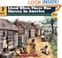 . . . If You Lived When There Was Slavery in America