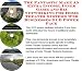 The Fantastic Make An Extra Income, Inner Game and Biz Networking for Home Theater Systems Web Businesses 3 CD Power Pack