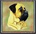 Bull Mastiff Lap Square - 53 x 53 Blanket/Throw