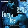 H&ouml;rbuch Fury of Ice: Dragonfury, Book 2