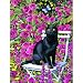 Rose Garden 300pc Jigsaw Puzzle by Chrissie Snelling