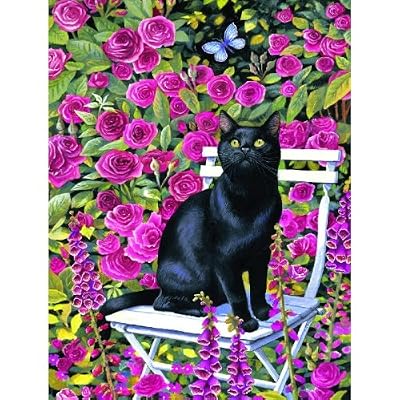 Rose Garden 300pc Jigsaw Puzzle by Chrissie Snelling