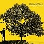 In Between Dreams [Vinilo] de Jack Johnson