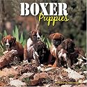 Boxer Puppies 2008 Wall Calendar