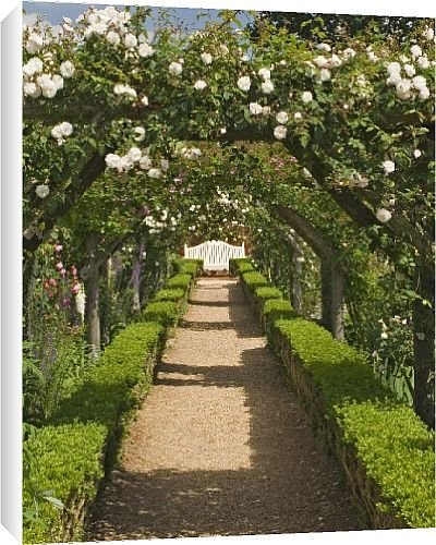 Canvas Prints of Arches of roses, Mottisfont Abbey Garden, Hampshire, England, United Kingdom, from Robert Harding