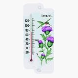 Taylor Precision 5200 Hummingbird Suction Cup Thermometer