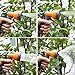 Ohuhu 50 Feet Garden Hose / Expandable Hose with Brass Connectors and Sprayer, 2016 Version