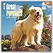 Great Pyrenees 2016 Calendar