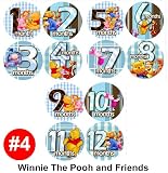 WINNIE POOH FRIENDS Baby Month Onesie Stickers Baby Shower Gift Photo Shower Stickers, photo prop by OnesieStickers