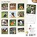 Boxer Puppies 2016 Wall Calendar