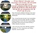 Book The Ultimate How To Earn Extra Money, Marketing and Success Principles for Rafting Supplies Web Biz 3 CD Course