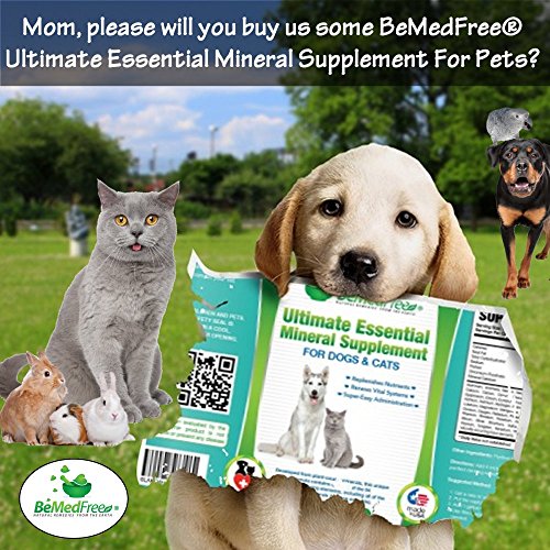 BeMedFree.com Ultimate Essential Mineral Supplement For Dogs, Cats & Other Small Pets, 8 Fl. Oz.