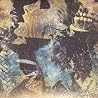 Image of album by Converge