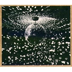 Fallen Angel (Album Version)