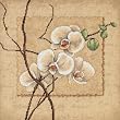 Dimensions Counted Cross Stitch, Oriental Orchids