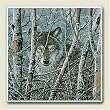 Wolf in Trees Wildlife Absorbastone Six Inch Trivet