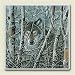 Kitchen & Housewares : Wolf IN Trees Wildlife Absorbastone Six Inch Trivet