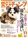 『愛犬チャンプ 2007年 11月号 [雑誌]』の写真