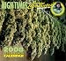 Search : High Times 2008 Calendar Presents: Jorge Cervantes Cultivation Tips