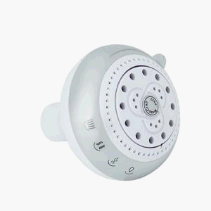 Brass Craft 4-Jet Showerhead