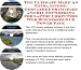 The Ultimate Make An Extra Income, Godfather Principles and Biz Networking for Laptop Computers Web Businesses 3 CD Power Pack