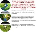 The Fantastic Super Marketing, Success Principles and Inner Game for Alpaca Yarn Businesses 3 CD Combo Pack
