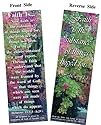Faith Is - Hebrews 11 - Bookmark - Package of 25
