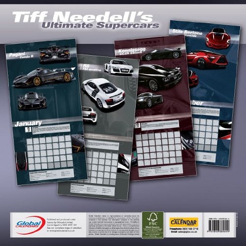 Tiff Needells Ultimate Supercars 2010 Wall