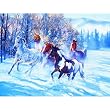 Snow Flies 500pc Jigsaw Puzzle by Janene Grende