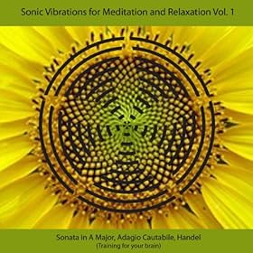 Sonic Vibrations