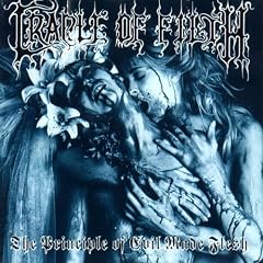 The Principle of Evil Made Flesh [Vinyl LP]