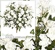 Four 17" Artificial Small Open Rose Silk Flower Bushes _ Cream White