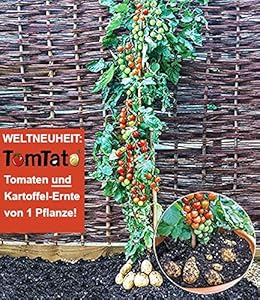 empfehlen facebook twitter pinterest derzeit nicht verfügbar ob und