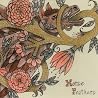 Image de l'album de Horse Feathers