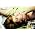 Thumbnail image of Florence + The Machine