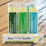 Organic LIP BALM (4-Pack) Minty Variety Pack by BeeNakedBalm - All-Natural Ingredients - Gluten-Free, Non-GMO, Lifetime Warranty! - Includes Peppermint Spearmint & Eucalyptus Mint Flavors