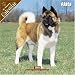 Akita 2008 Wall Calendar
