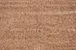 Indoor/Outdoor Brown/Tan Artificial Grass Turf Area Rug 6'x8'