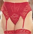 Plus Size Shiny Stretch Lace Garter Belt 1x/2x 3x/4x Black Red or White