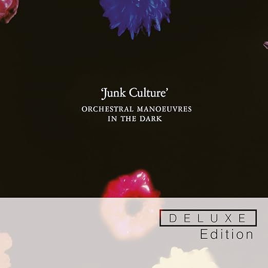 Junk Culture