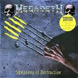 Symphony Of Destruction